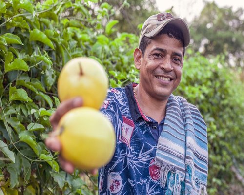 Maracuya passion fruit raw and fresh